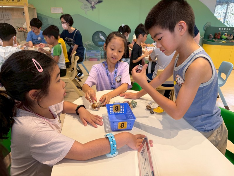 幼兒園：餐桌上的科學-貝類篇(7/10)-圖片17