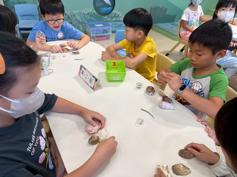幼兒園：餐桌上的科學-貝類篇(7/10)-圖片19