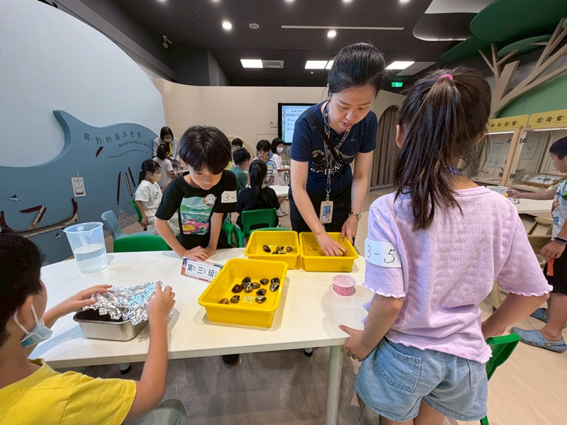 幼兒園：餐桌上的科學-貝類篇(7/10)-圖片27