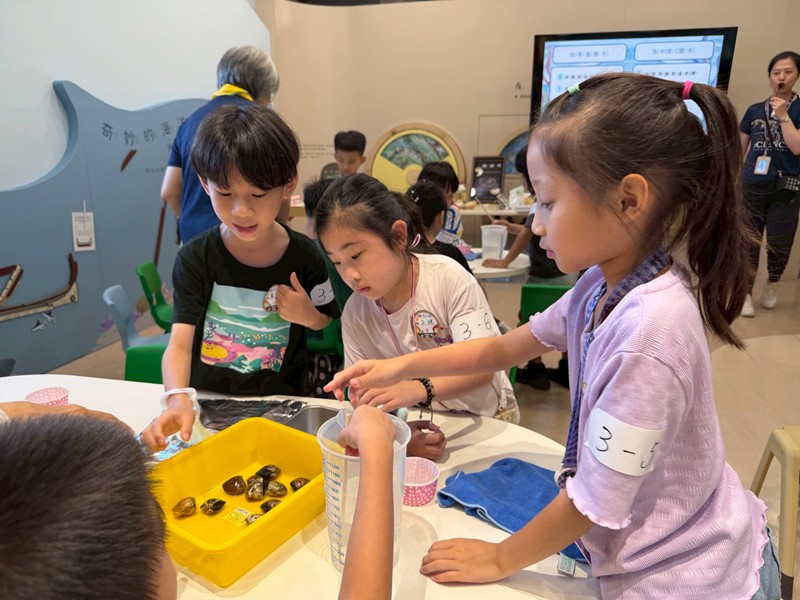幼兒園：餐桌上的科學-貝類篇(7/10)-圖片30