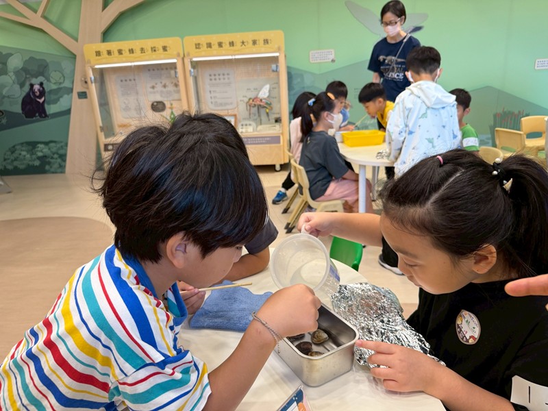 幼兒園：餐桌上的科學-貝類篇(7/10)-圖片32