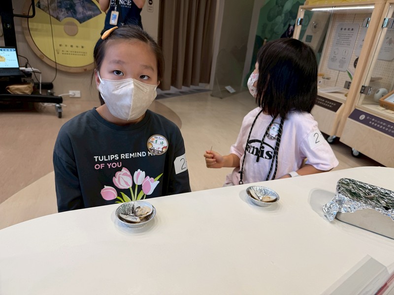 幼兒園：餐桌上的科學-貝類篇(7/10)-圖片39
