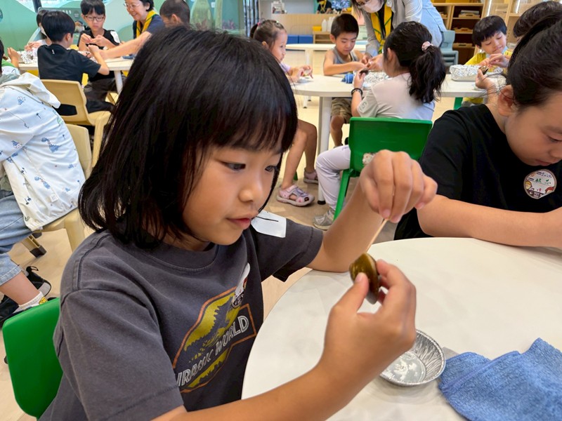 幼兒園：餐桌上的科學-貝類篇(7/10)-圖片42