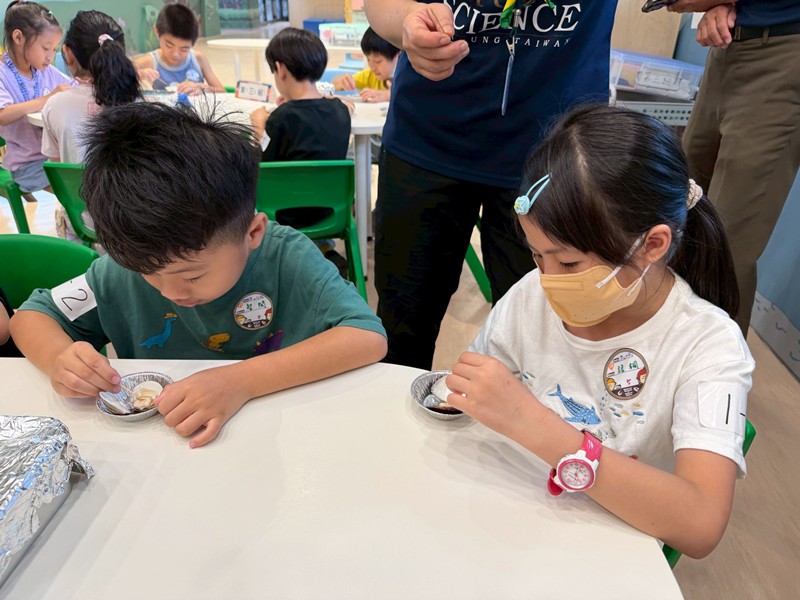 幼兒園：餐桌上的科學-貝類篇(7/10)-圖片55