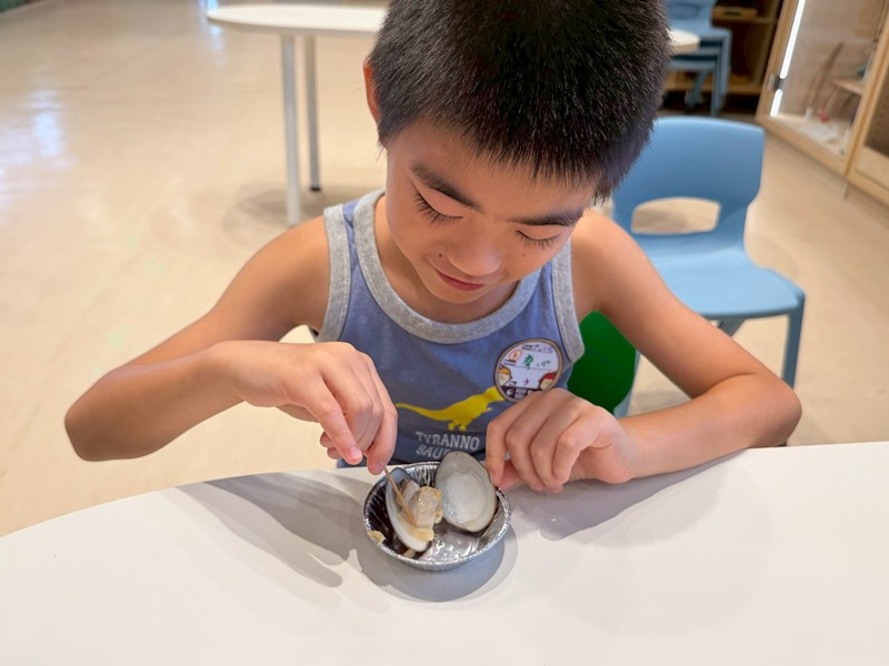 幼兒園：餐桌上的科學-貝類篇(7/10)-圖片58