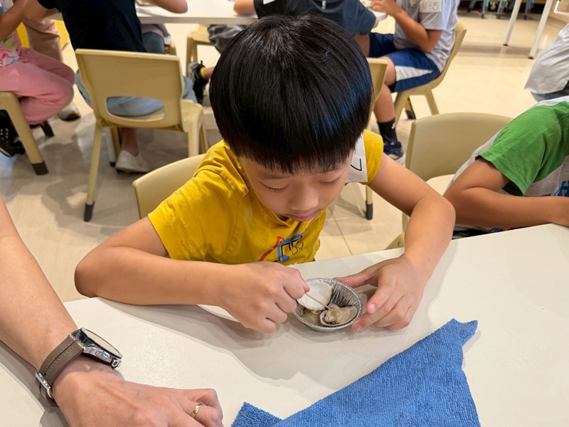 幼兒園：餐桌上的科學-貝類篇(7/10)-圖片66