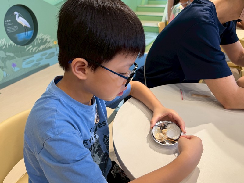 幼兒園：餐桌上的科學-貝類篇(7/10)-圖片68