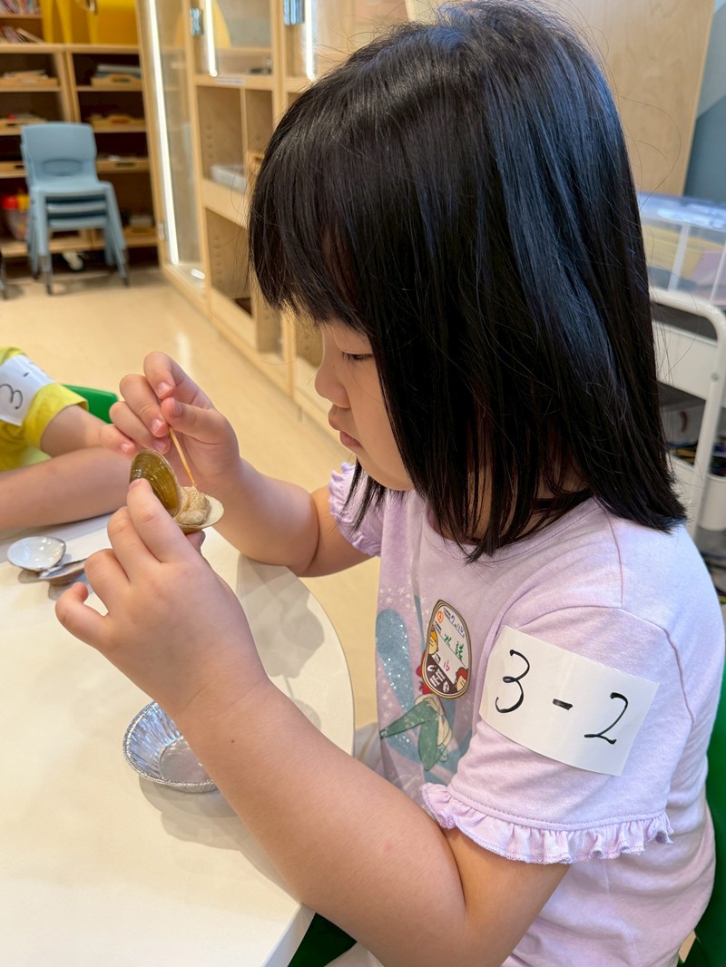 幼兒園：餐桌上的科學-貝類篇(7/10)-圖片71
