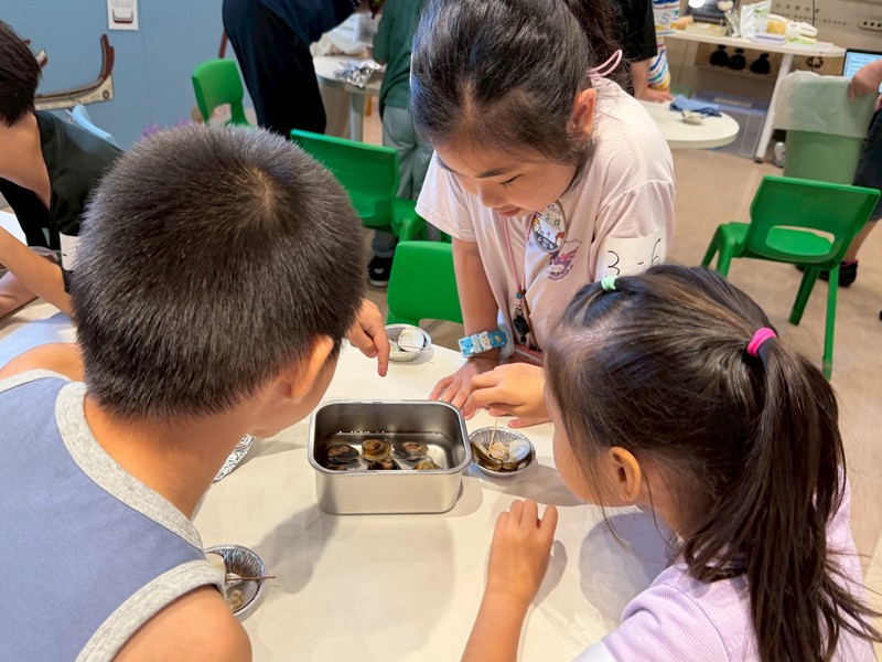 幼兒園：餐桌上的科學-貝類篇(7/10)-圖片78