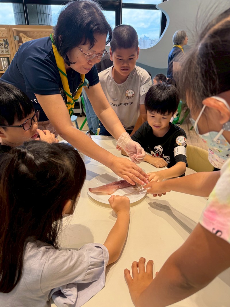 幼兒園：餐桌上的科學-貝類篇(7/10)-圖片80