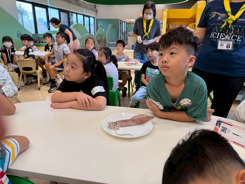 幼兒園：餐桌上的科學-貝類篇(7/10)-圖片81