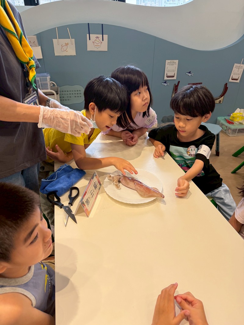 幼兒園：餐桌上的科學-貝類篇(7/10)-圖片82