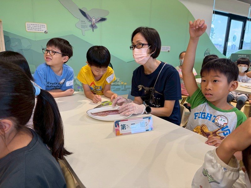 幼兒園：餐桌上的科學-貝類篇(7/10)-圖片84