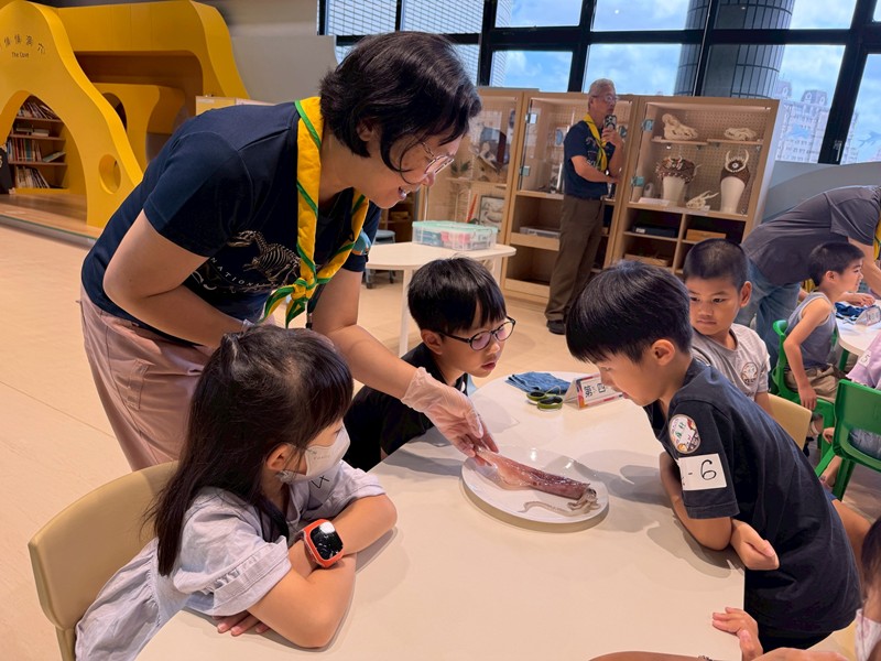 幼兒園：餐桌上的科學-貝類篇(7/10)-圖片85