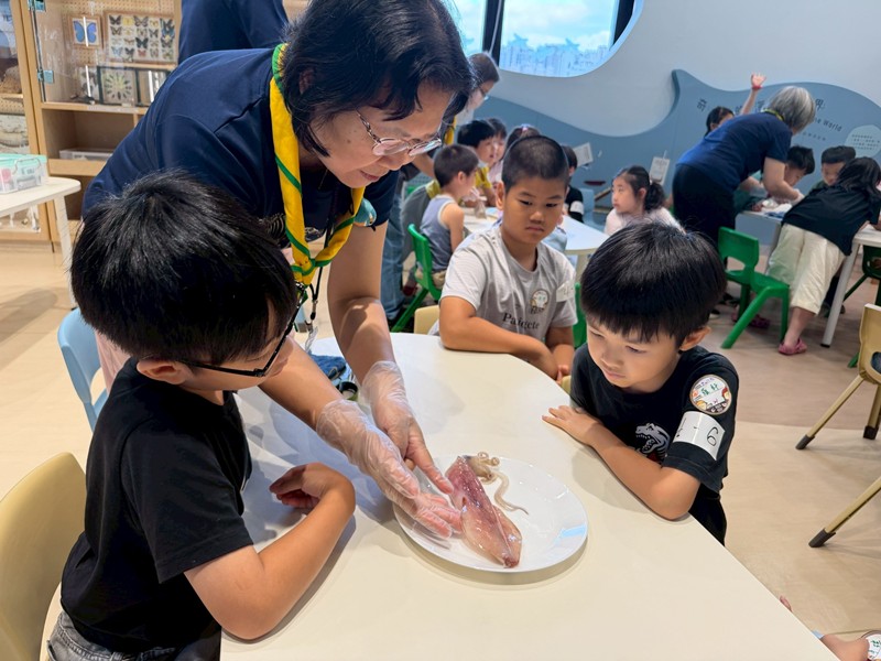 幼兒園：餐桌上的科學-貝類篇(7/10)-圖片86