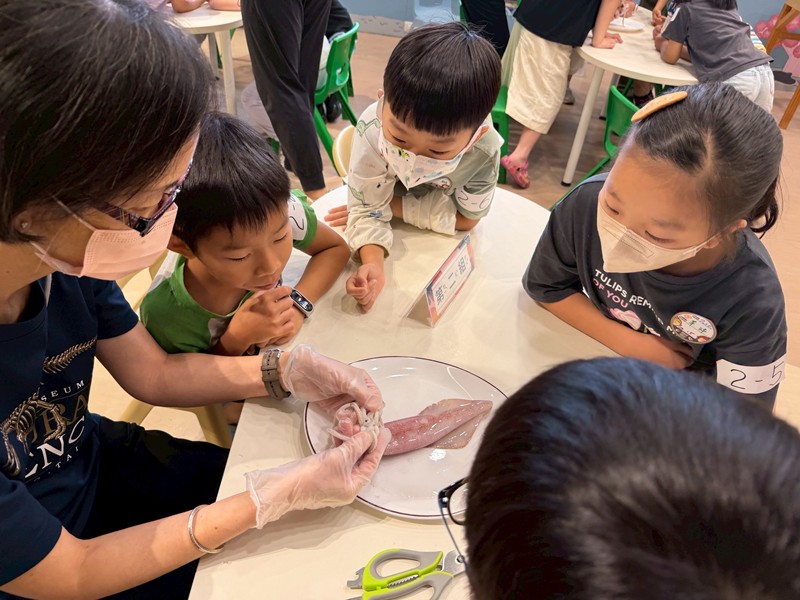 幼兒園：餐桌上的科學-貝類篇(7/10)-圖片87