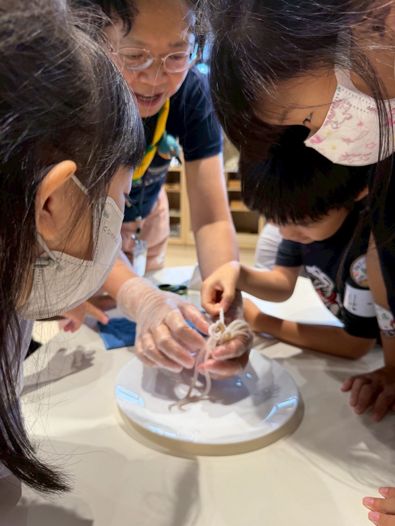 幼兒園：餐桌上的科學-貝類篇(7/10)-圖片89