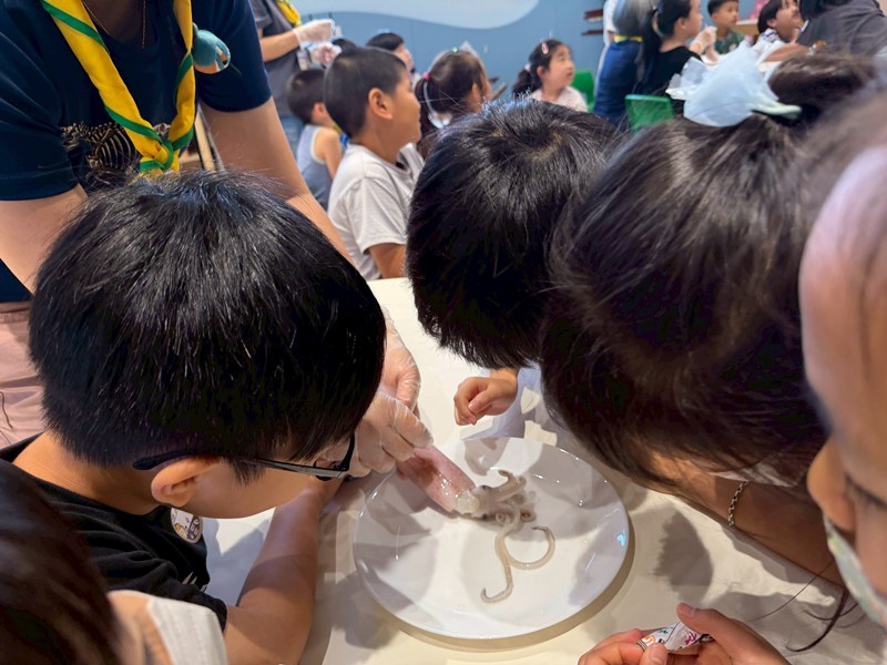 幼兒園：餐桌上的科學-貝類篇(7/10)-圖片90