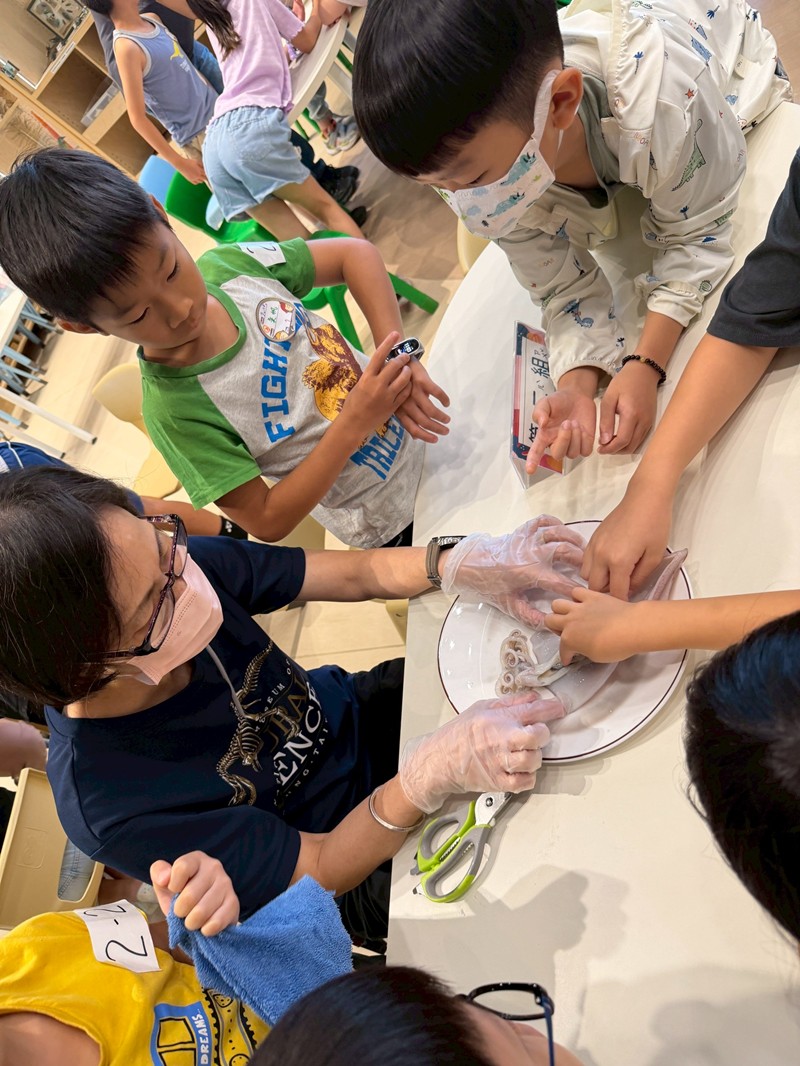 幼兒園：餐桌上的科學-貝類篇(7/10)-圖片91