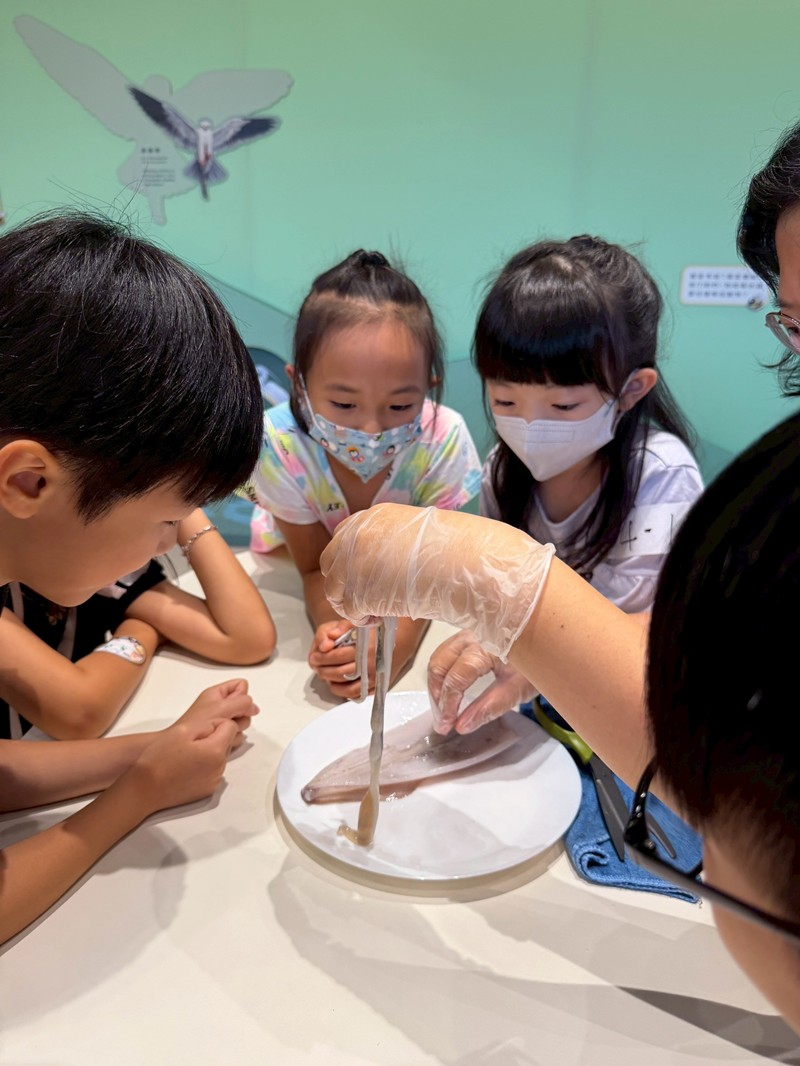 幼兒園：餐桌上的科學-貝類篇(7/10)-圖片92