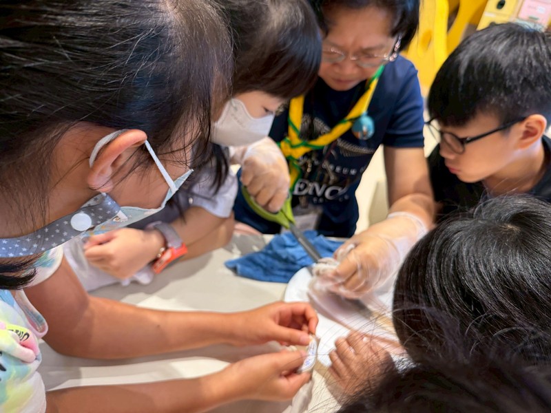 幼兒園：餐桌上的科學-貝類篇(7/10)-圖片93