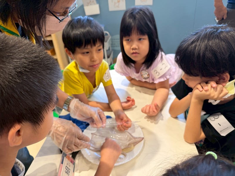 幼兒園：餐桌上的科學-貝類篇(7/10)-圖片95