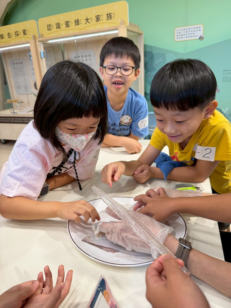 幼兒園：餐桌上的科學-貝類篇(7/10)-圖片96
