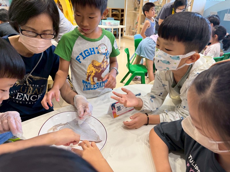 幼兒園：餐桌上的科學-貝類篇(7/10)-圖片98