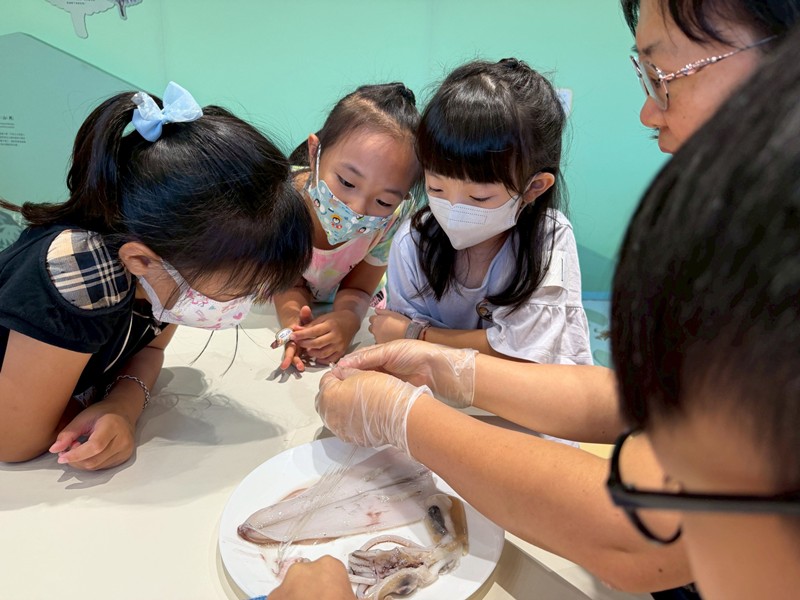 幼兒園：餐桌上的科學-貝類篇(7/10)-圖片101