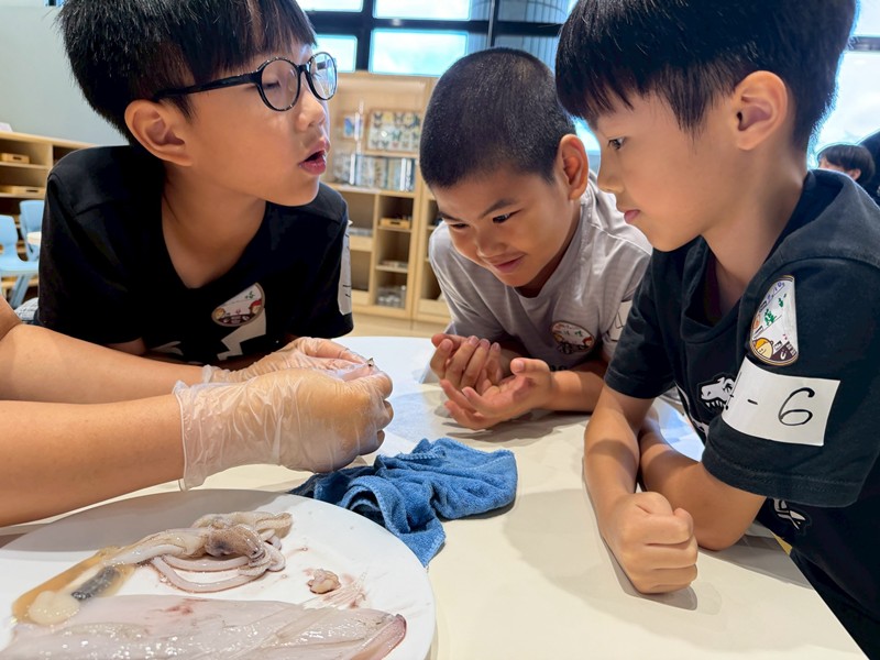 幼兒園：餐桌上的科學-貝類篇(7/10)-圖片102