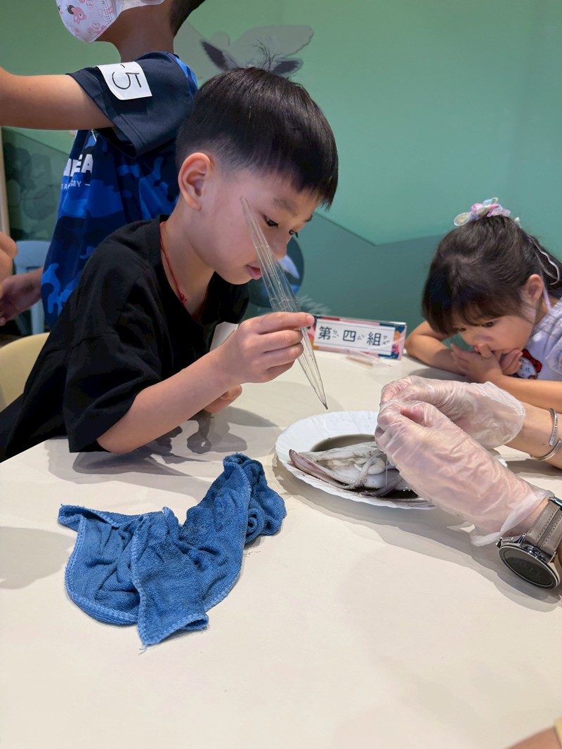 幼兒園：餐桌上的科學-貝類篇(7/17)-圖片10