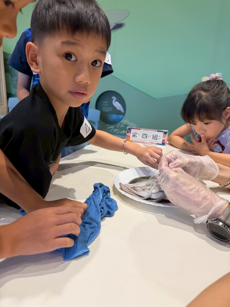 幼兒園：餐桌上的科學-貝類篇(7/17)-圖片11