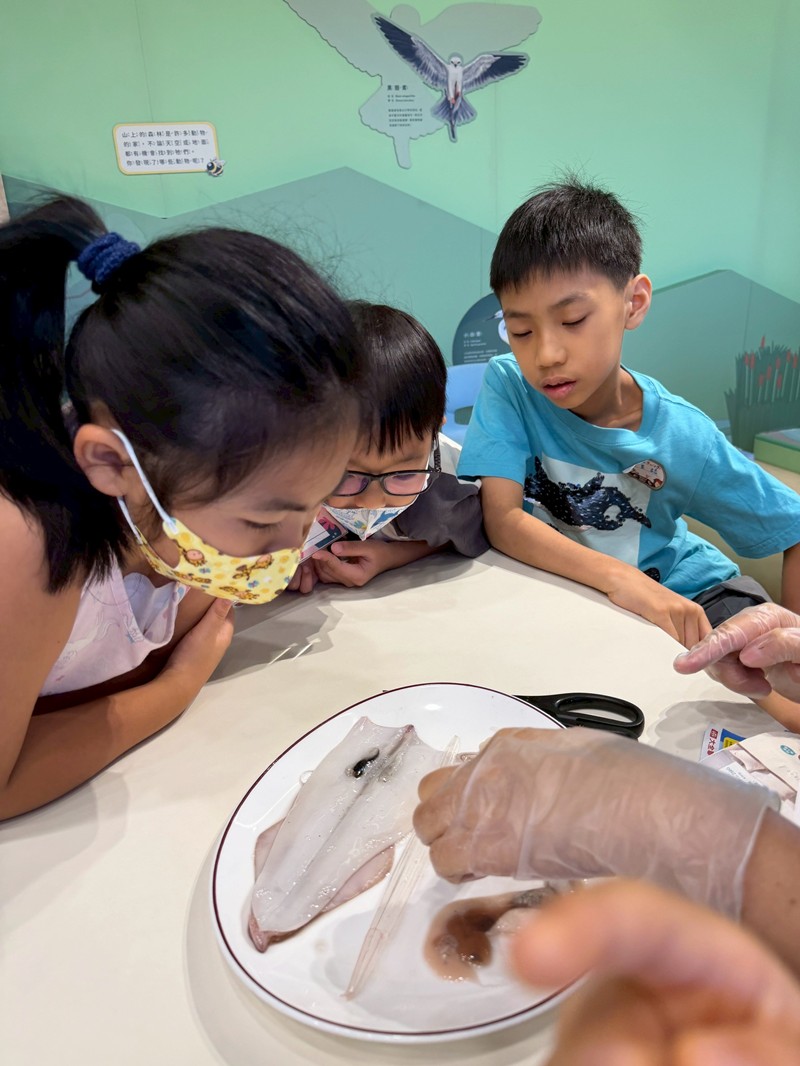 幼兒園：餐桌上的科學-貝類篇(7/17)-圖片12