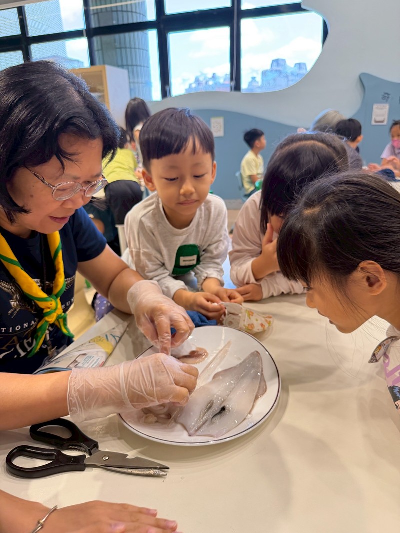 幼兒園：餐桌上的科學-貝類篇(7/17)-圖片13