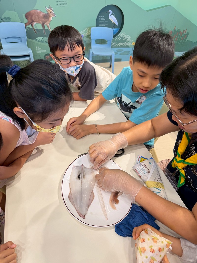 幼兒園：餐桌上的科學-貝類篇(7/17)-圖片14
