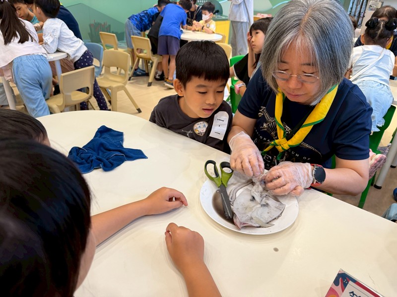 幼兒園：餐桌上的科學-貝類篇(7/17)-圖片15