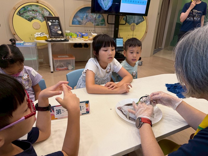 幼兒園：餐桌上的科學-貝類篇(7/17)-圖片17
