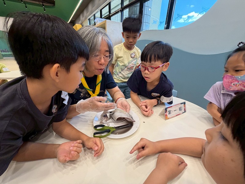 幼兒園：餐桌上的科學-貝類篇(7/17)-圖片19