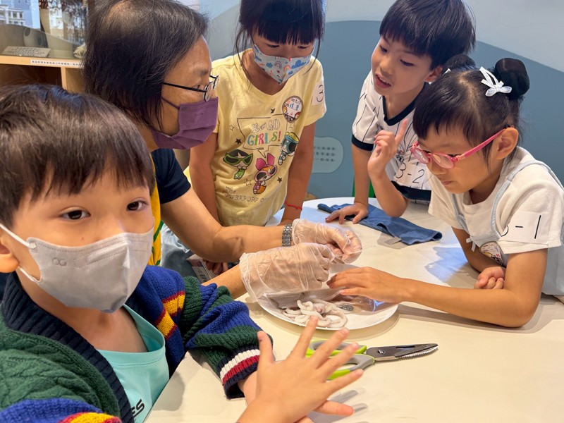 幼兒園：餐桌上的科學-貝類篇(7/17)-圖片20