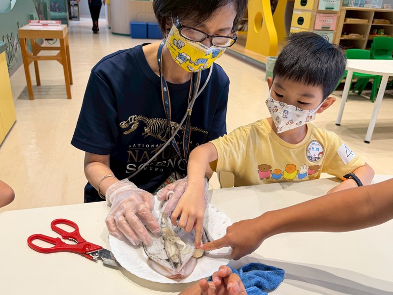 幼兒園：餐桌上的科學-貝類篇(7/17)-圖片22