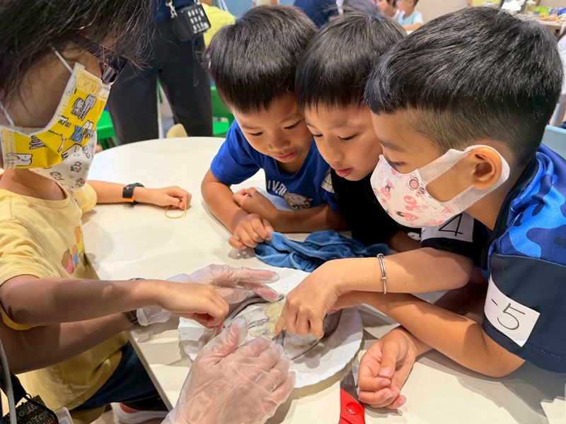 幼兒園：餐桌上的科學-貝類篇(7/17)-圖片23