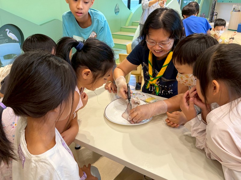 幼兒園：餐桌上的科學-貝類篇(7/17)-圖片24
