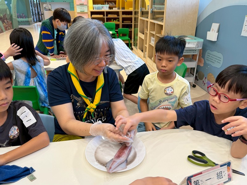 幼兒園：餐桌上的科學-貝類篇(7/17)-圖片25