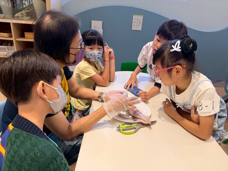幼兒園：餐桌上的科學-貝類篇(7/17)-圖片29