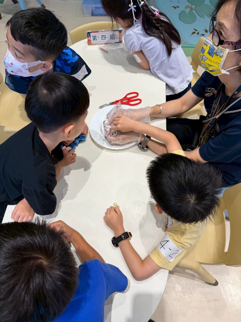 幼兒園：餐桌上的科學-貝類篇(7/17)-圖片30