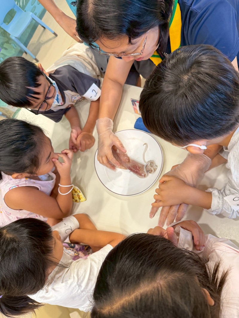 幼兒園：餐桌上的科學-貝類篇(7/17)-圖片31