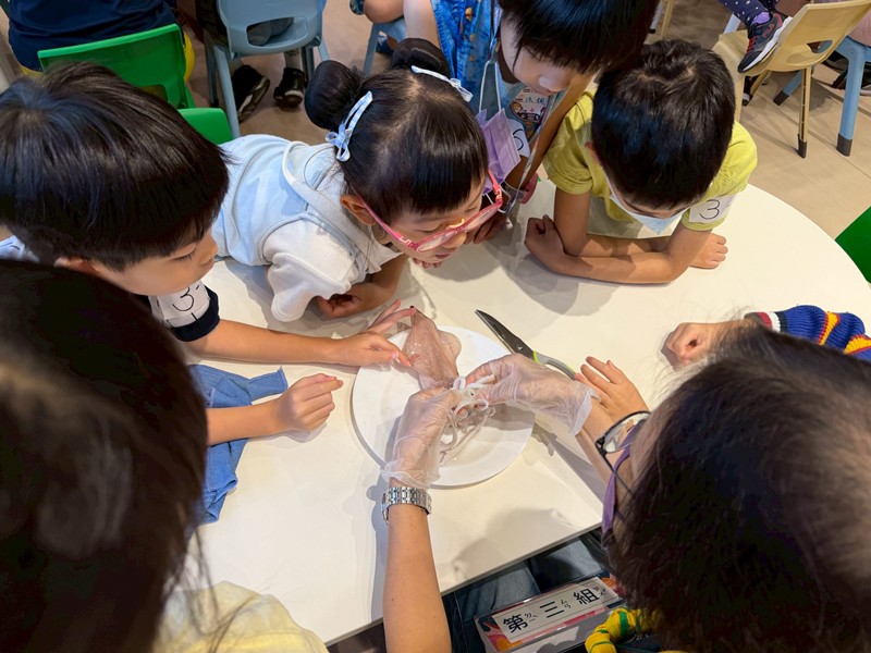 幼兒園：餐桌上的科學-貝類篇(7/17)-圖片32