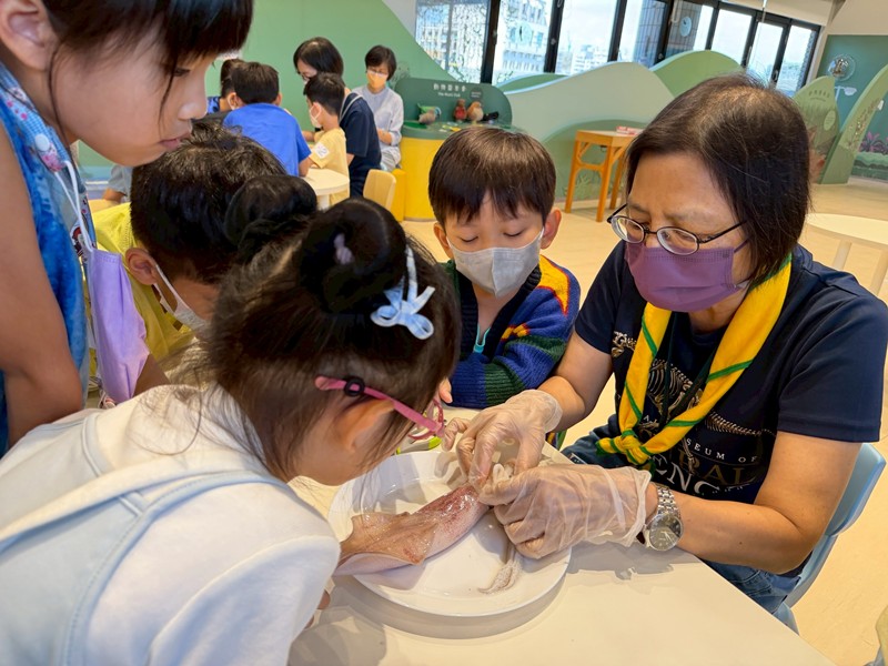 幼兒園：餐桌上的科學-貝類篇(7/17)-圖片33