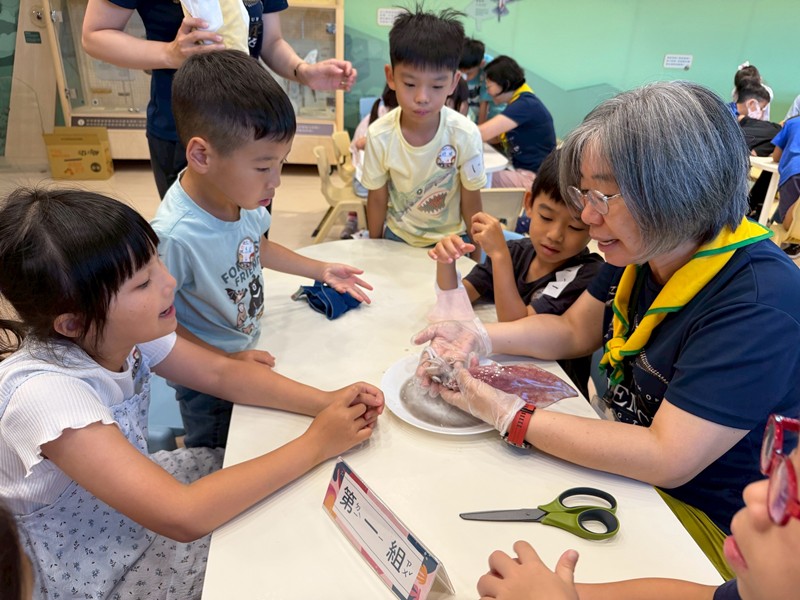 幼兒園：餐桌上的科學-貝類篇(7/17)-圖片35