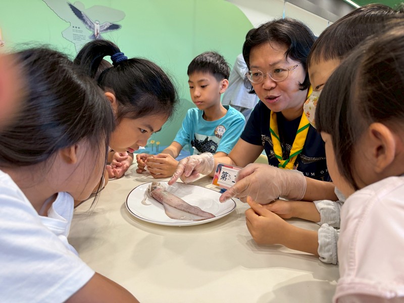 幼兒園：餐桌上的科學-貝類篇(7/17)-圖片36